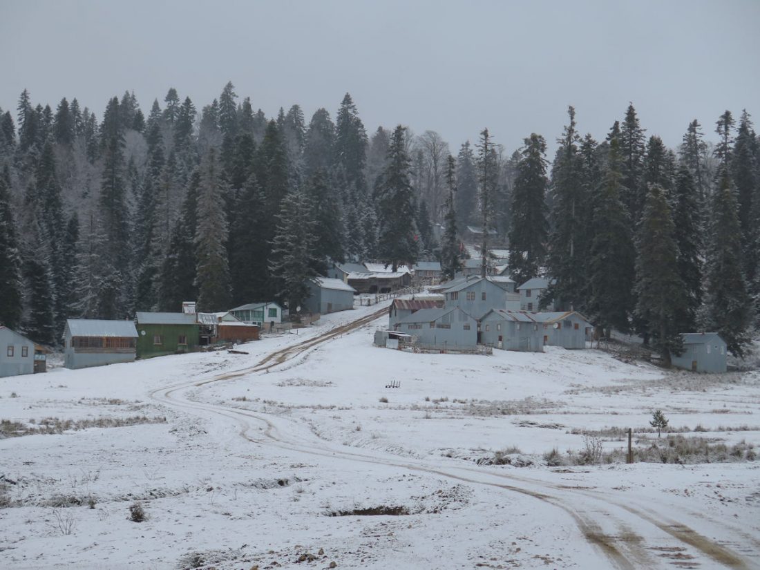 Sinekli Yaylası - Bolu