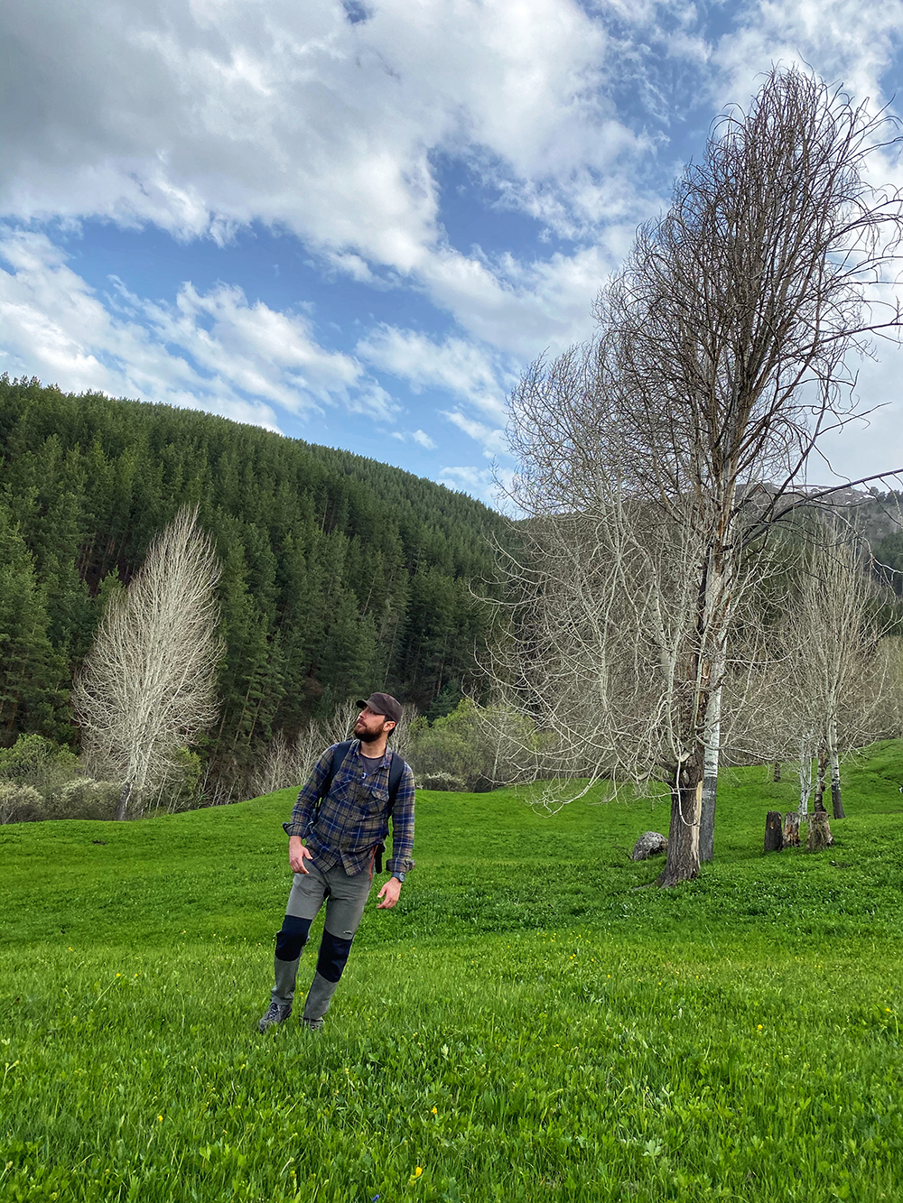 Hiking nedir