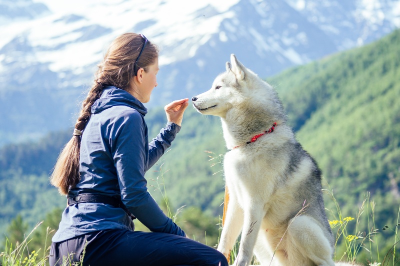Köpeğinizle Doğaya Çıkarken