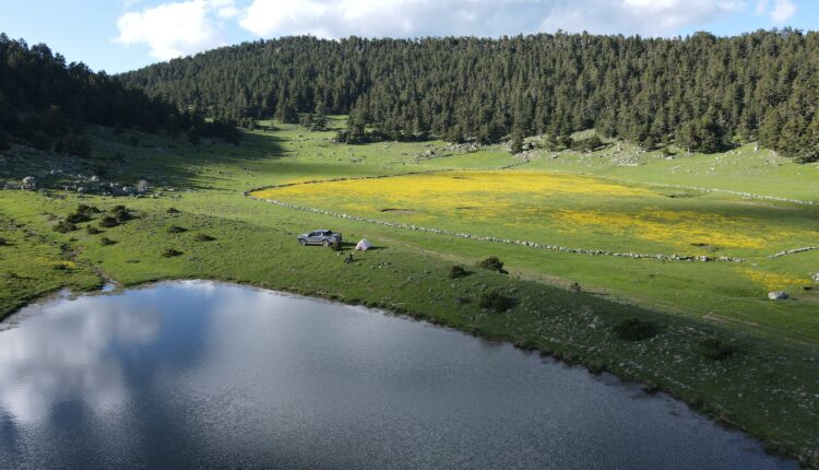 Kasımlar Yaylası